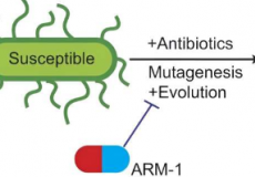 生物化学家发现了抑制抗生素耐药性进化的化合物